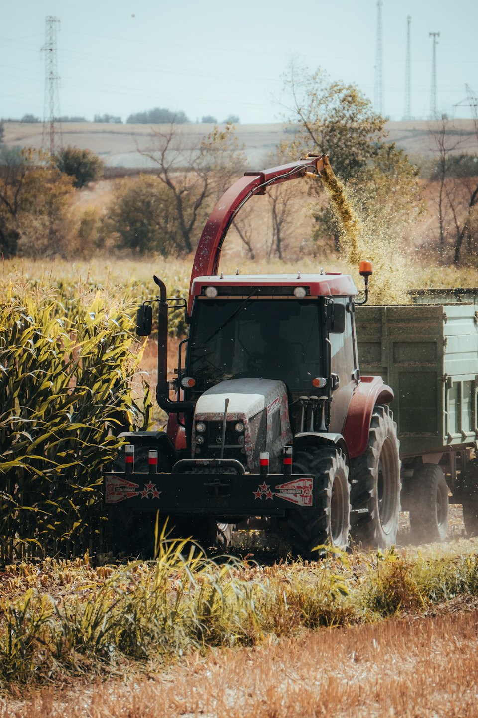 Ein Traktor erntet Feldfrüchte in einen Anhänger auf einem Feld.